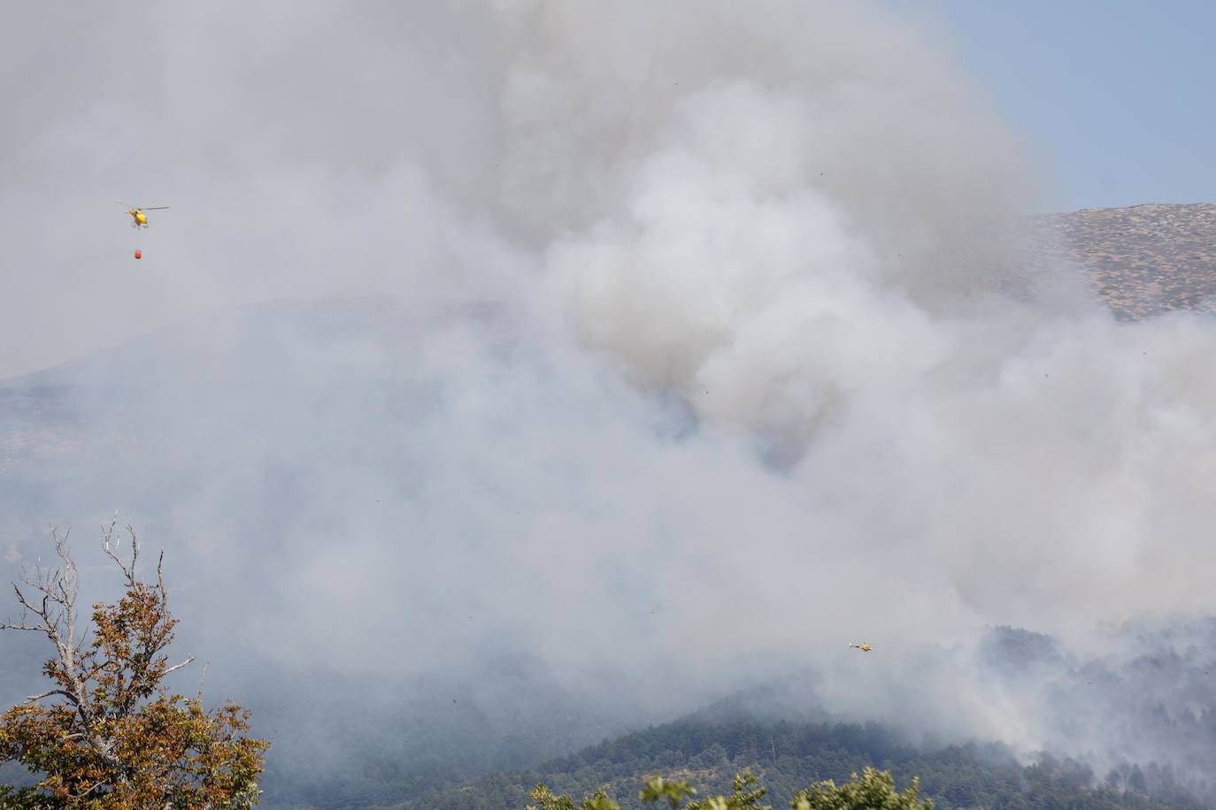 Fotos: Incendio cerca de la fuente de los Infantes en la Granja de San Ildefonso (Segovia)
