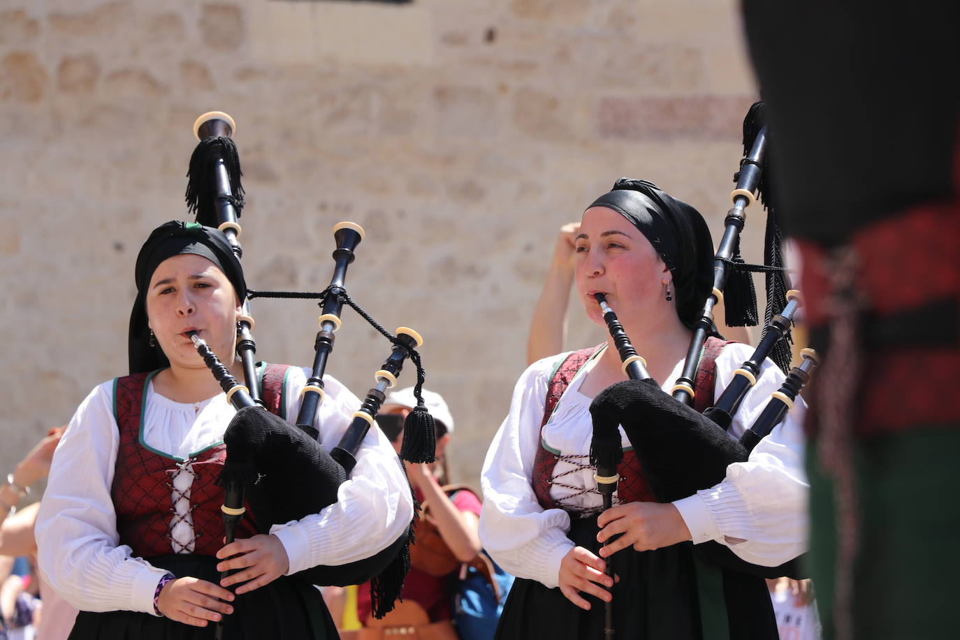 Los pendones de la comnarca lucen en el Día de Asturias en Valencia de Don Juan. 