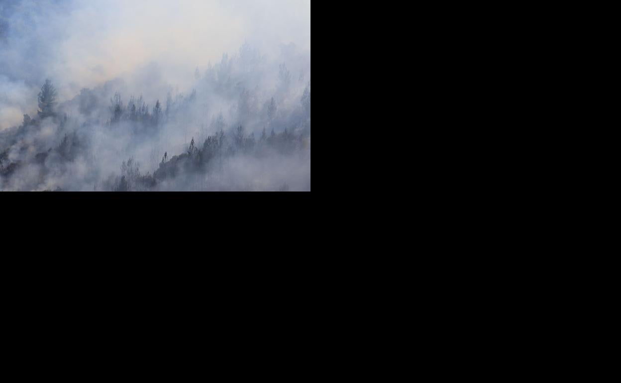 Incendio en la carretera del pantano perteneciente al municipio de Ponferrada