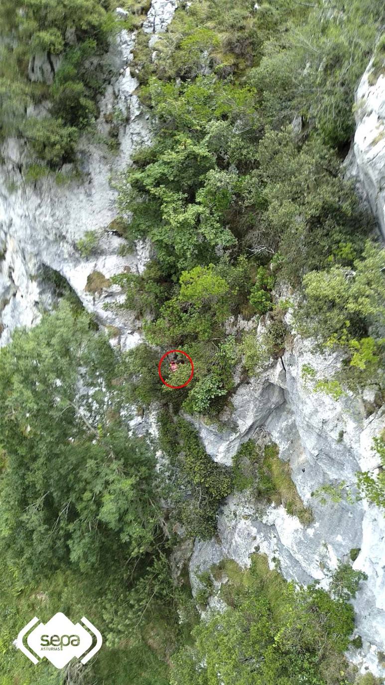 El Grupo de Rescate de Bomberos del SEPA ha rescatado ileso a un montañero de 23 años que se precipitó unos treinta metros cuando realizaba la ruta del Cares en la zona de la canal de Sabugo, en Cabrales. El hombre quedó colgado de un árbol y tardaron tres horas en localizarlo.