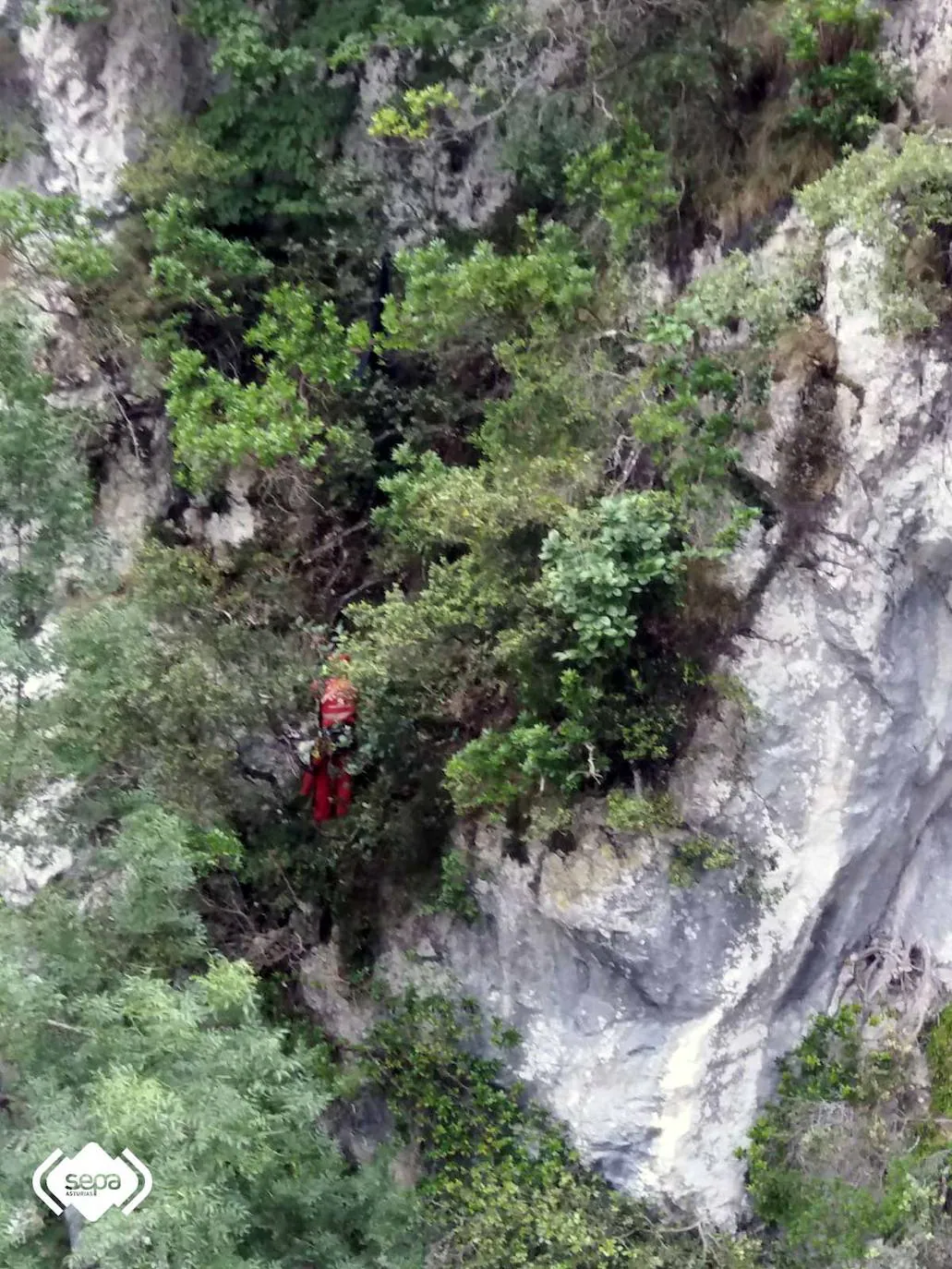El Grupo de Rescate de Bomberos del SEPA ha rescatado ileso a un montañero de 23 años que se precipitó unos treinta metros cuando realizaba la ruta del Cares en la zona de la canal de Sabugo, en Cabrales. El hombre quedó colgado de un árbol y tardaron tres horas en localizarlo.