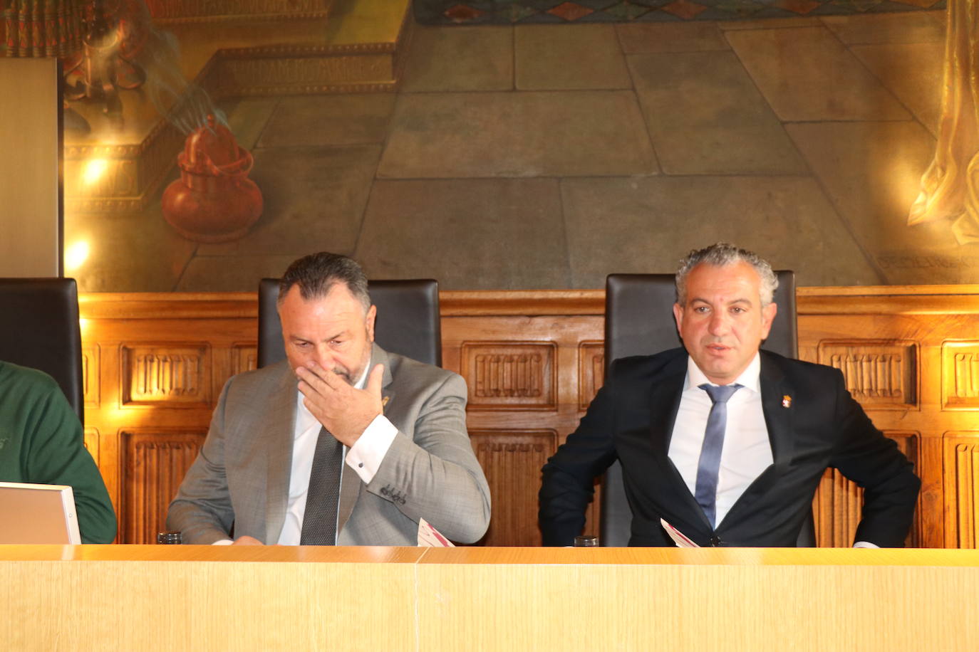 Fotos: Pleno de Organización en la Diputación de León