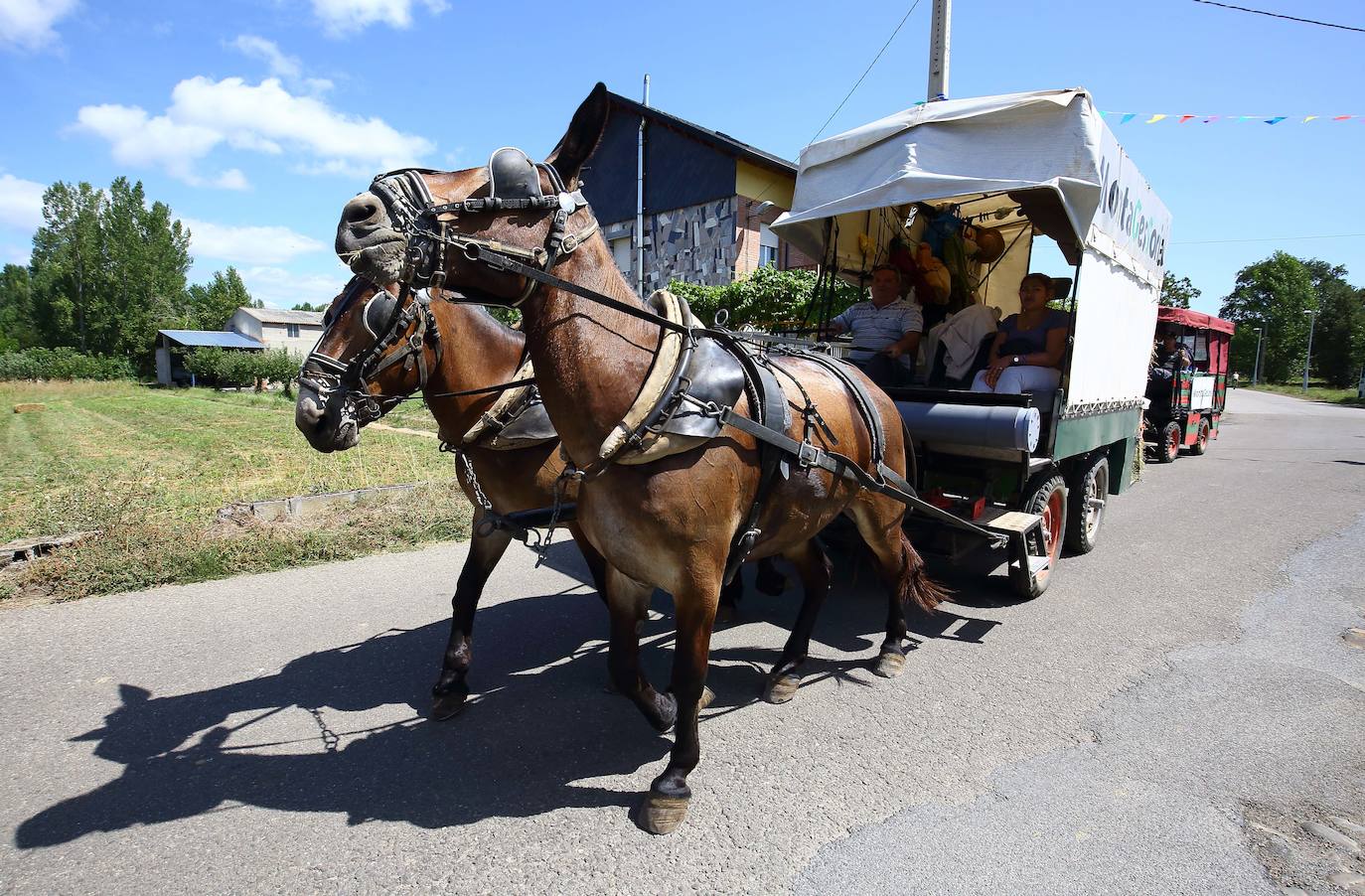 Fotos: Peregrinos en diligencia a su paso por Ponferrada