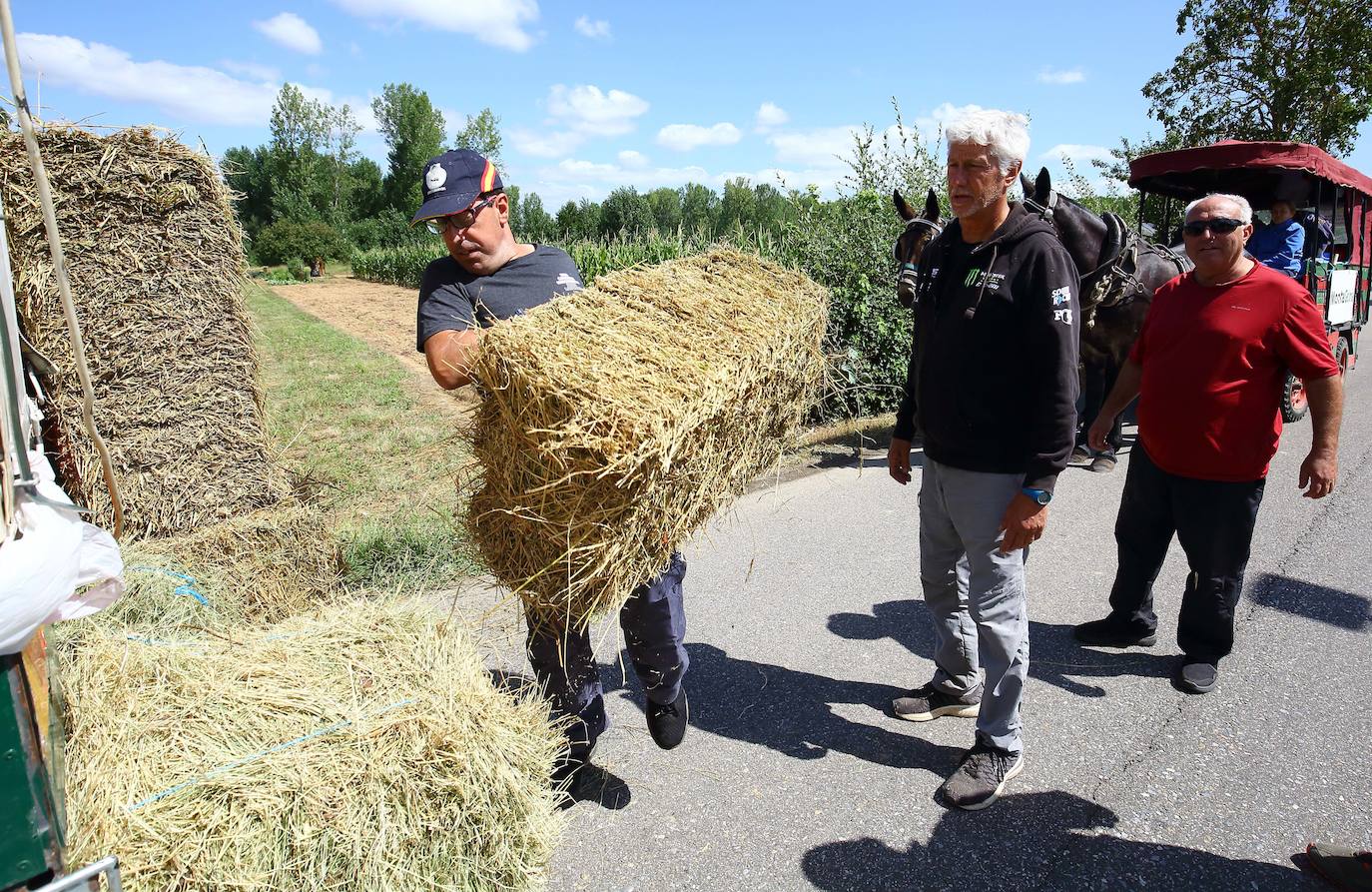 Fotos: Peregrinos en diligencia a su paso por Ponferrada