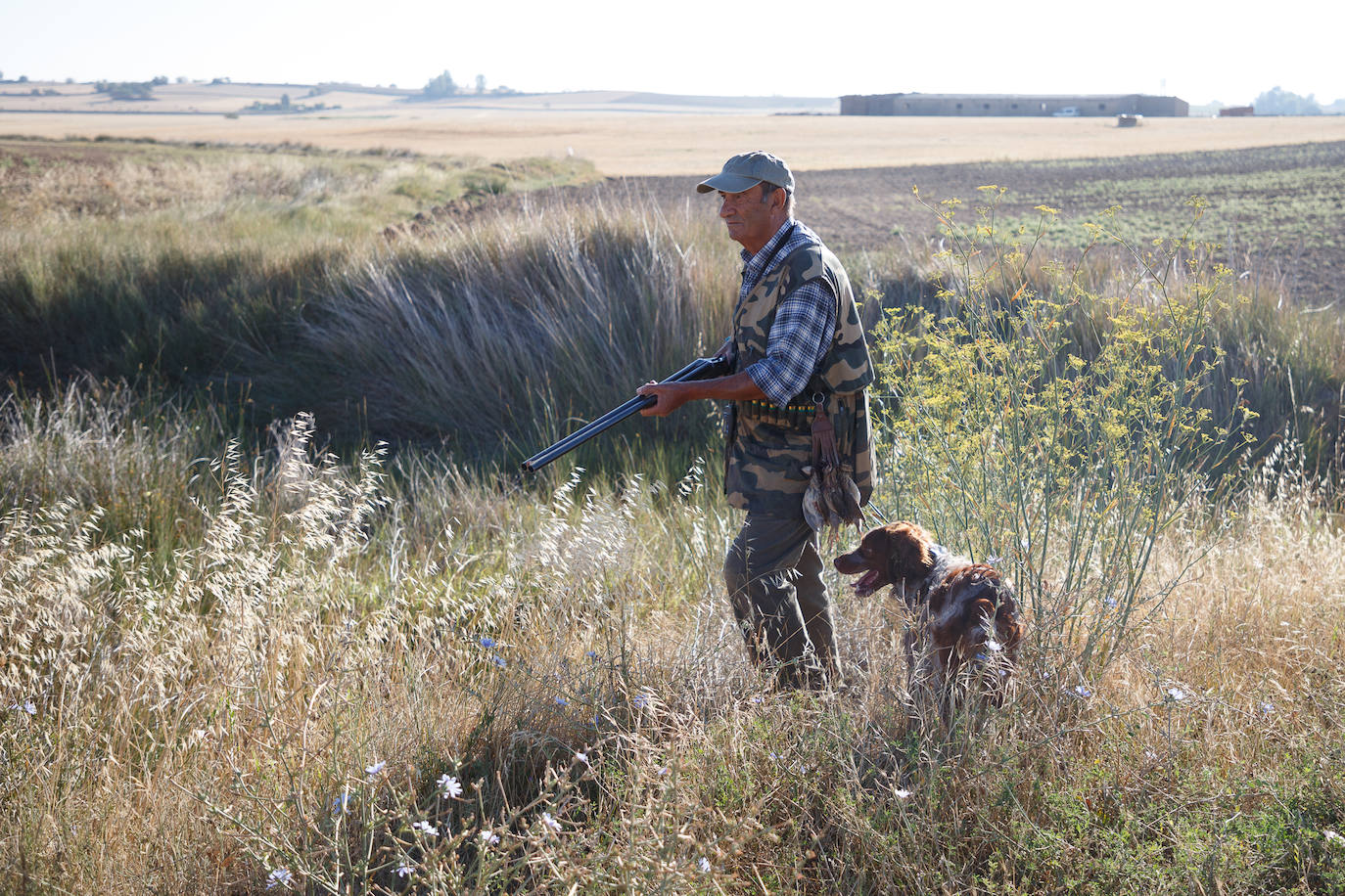 Fotos: Inicio de la media veda de caza en Castilla y León