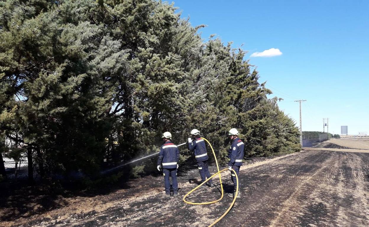 Los Bomberos de la Diputación trabajan en la extinción del incendio de Cisneros. 