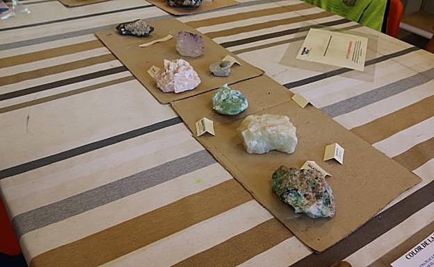 Galería. Aula de los tesoros de la tierra, en el Coto Escolar de León. 