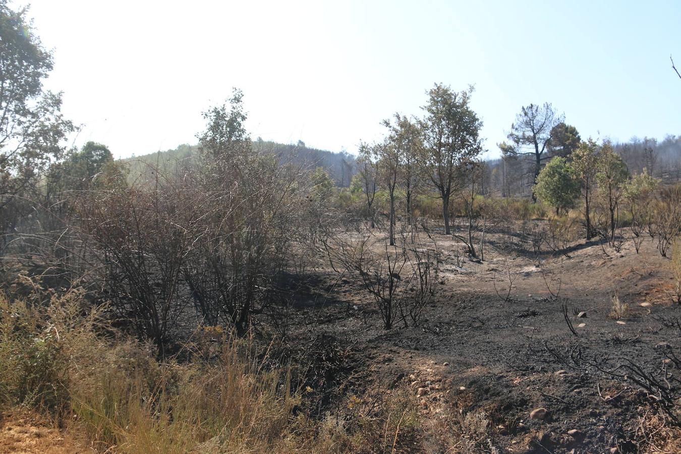 Fotos: Los restos del incendio de Villapadierna