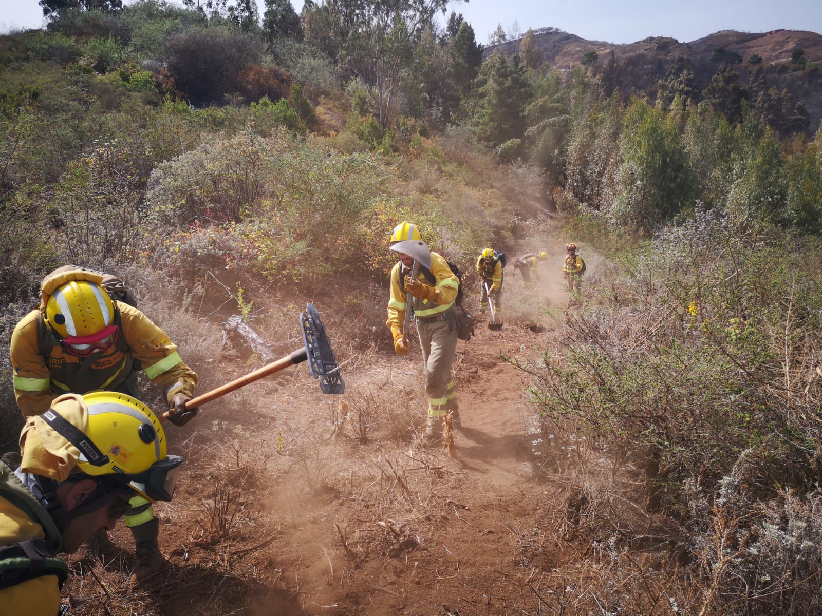 Efectivos de la BRif durante los trabajos de extinción.