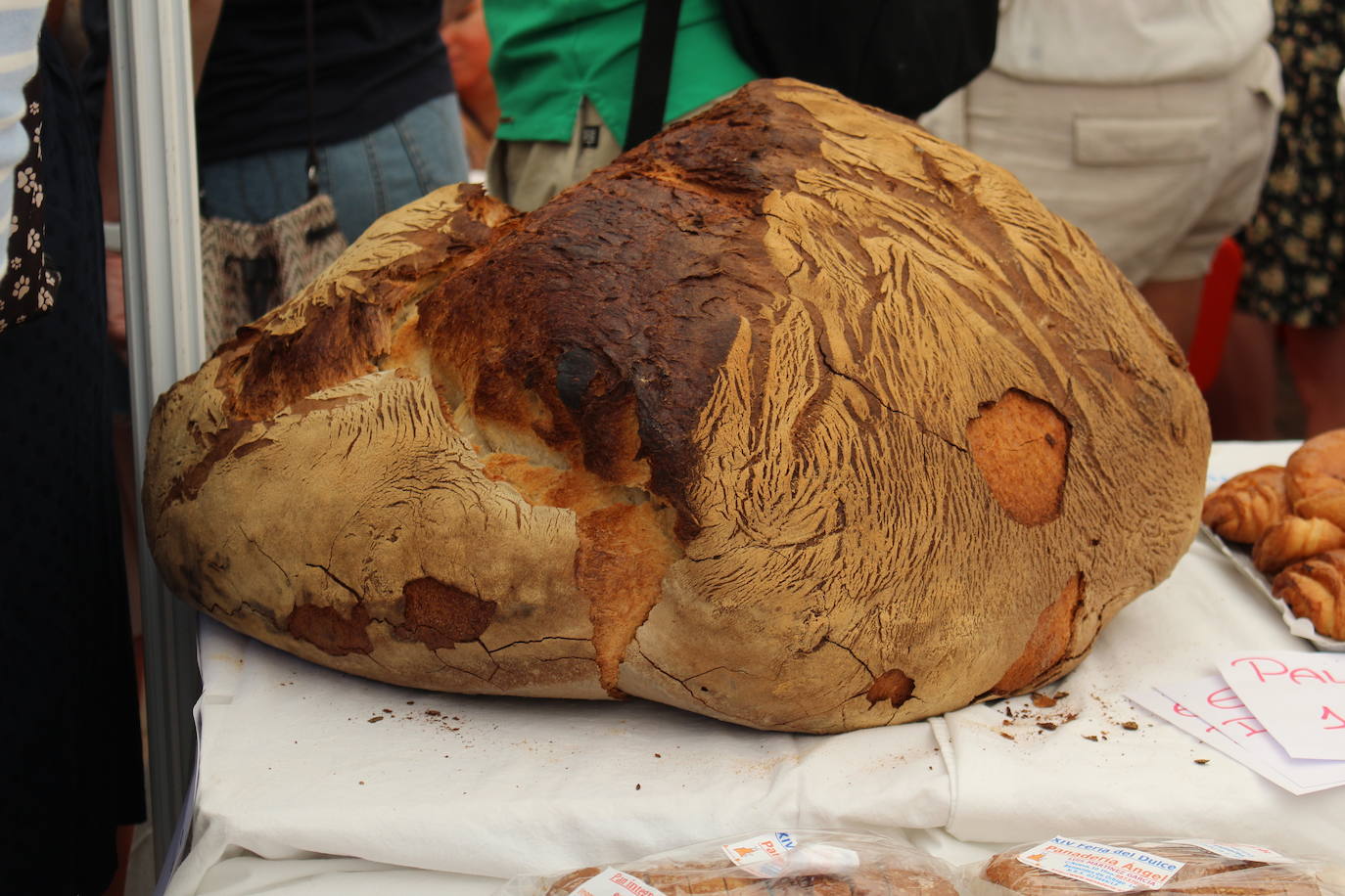 Fotos: XIV Feria del Dulce de Benavides