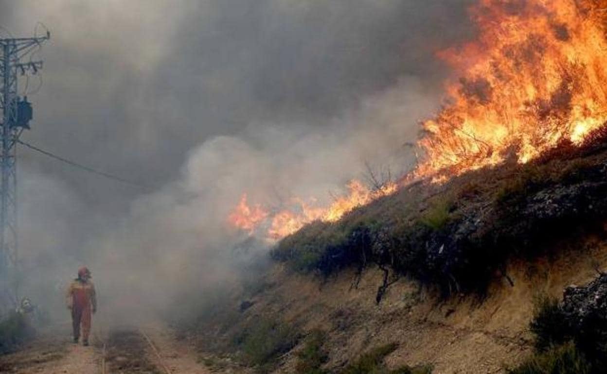 La Junta pide «extremar las precauciones» para evitar incendios ante el riesgo de propagación por fuertes vientos
