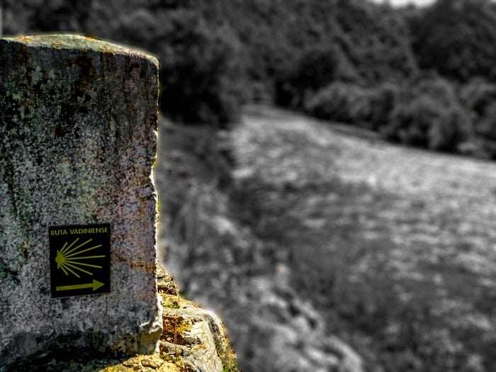 Fotos: El Camino, en fotos