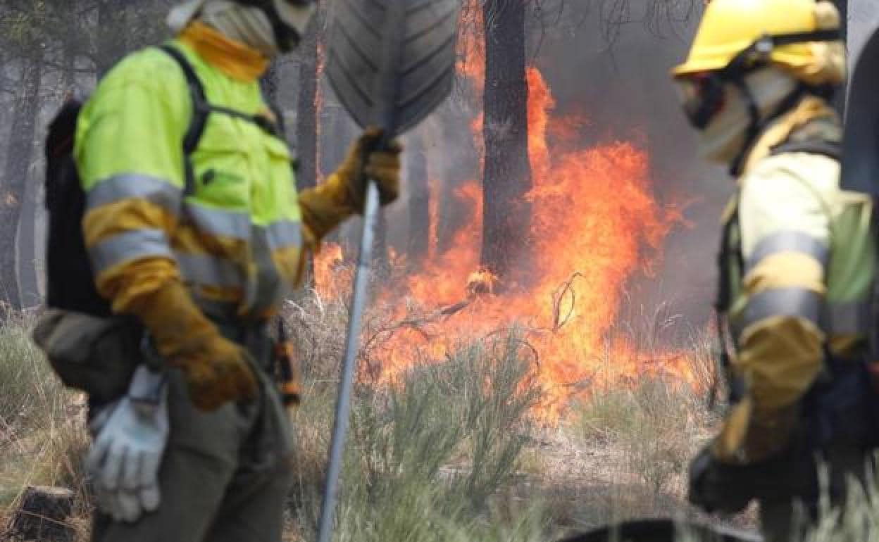 Sábado 'ajetreado' para las brigadas en León con hasta siete incendios en la provincia