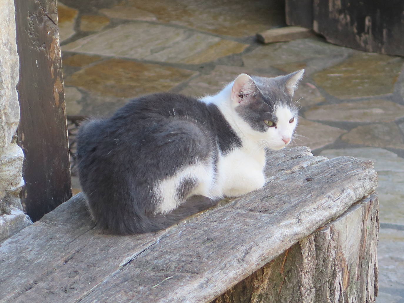 Fotos: La Tebaida Berciana respira de nuevo