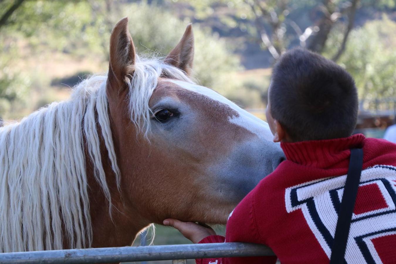 Fotos: Feria tradicional del Cristo de Lugueros 2019