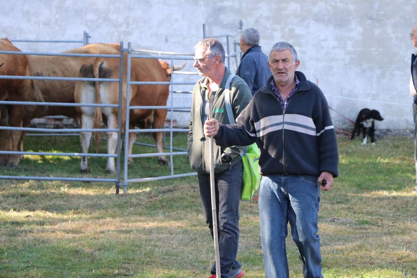 Fotos: Feria tradicional del Cristo de Lugueros 2019