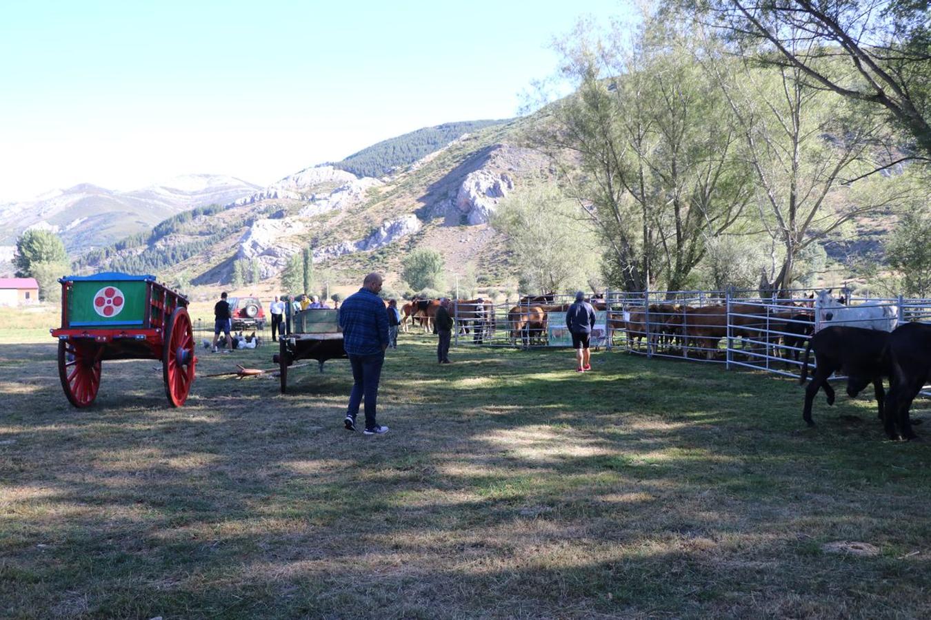 Fotos: Feria tradicional del Cristo de Lugueros 2019
