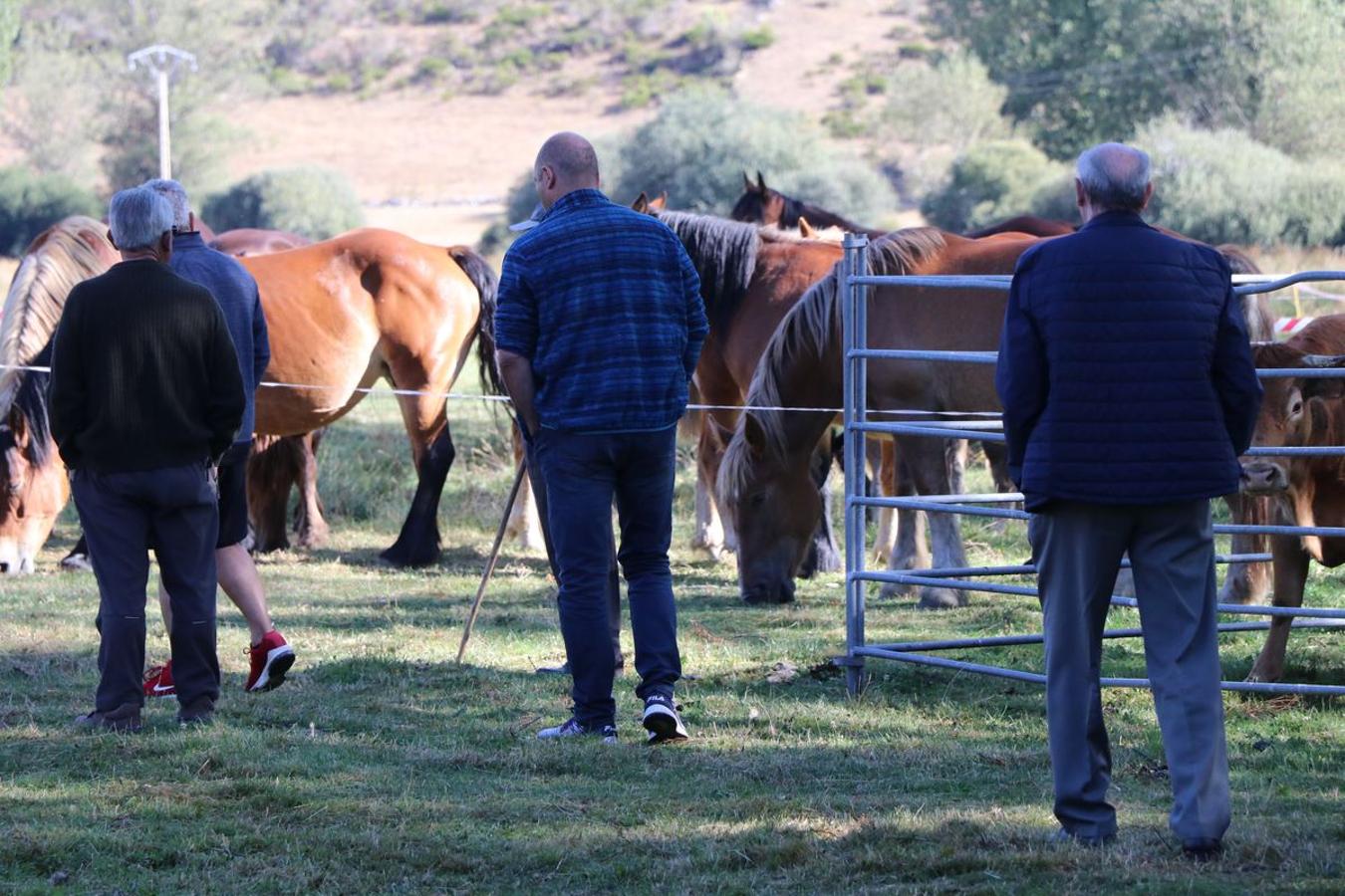 Fotos: Feria tradicional del Cristo de Lugueros 2019