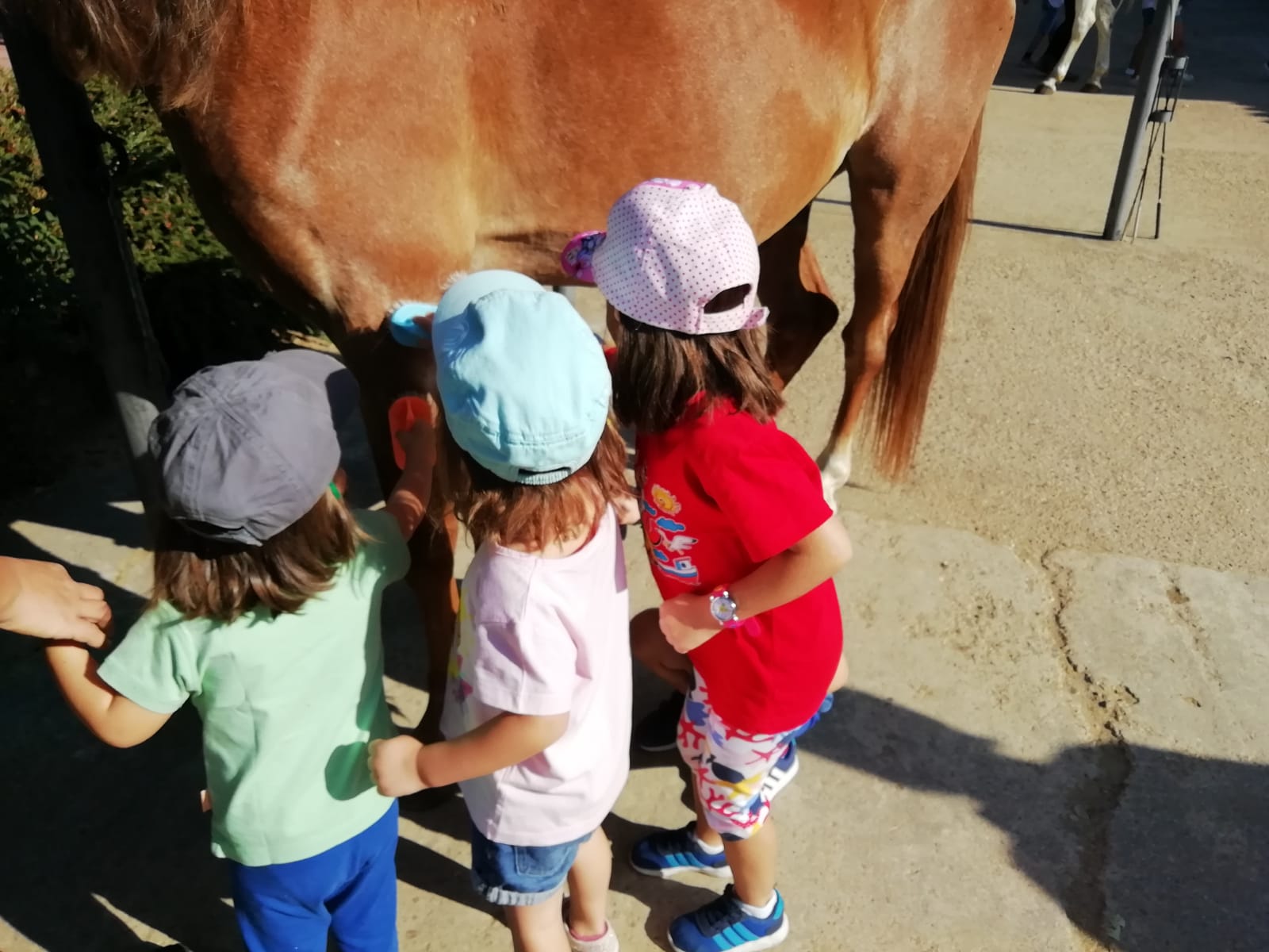 Imagen de un grupo de niños en el Centro Infantil El Álamo.