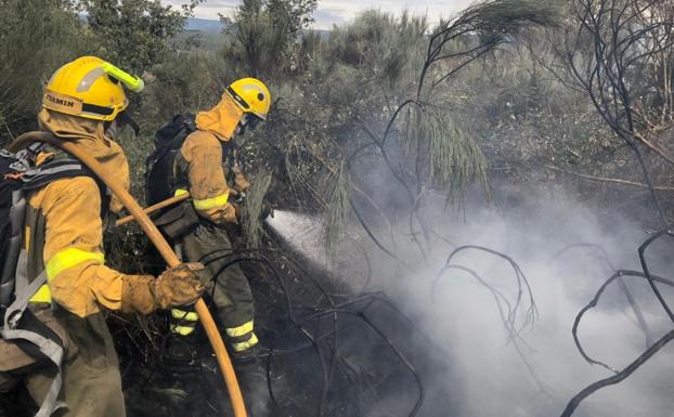 Trabajos para sofocar el incendio en Torre del Bierzo.