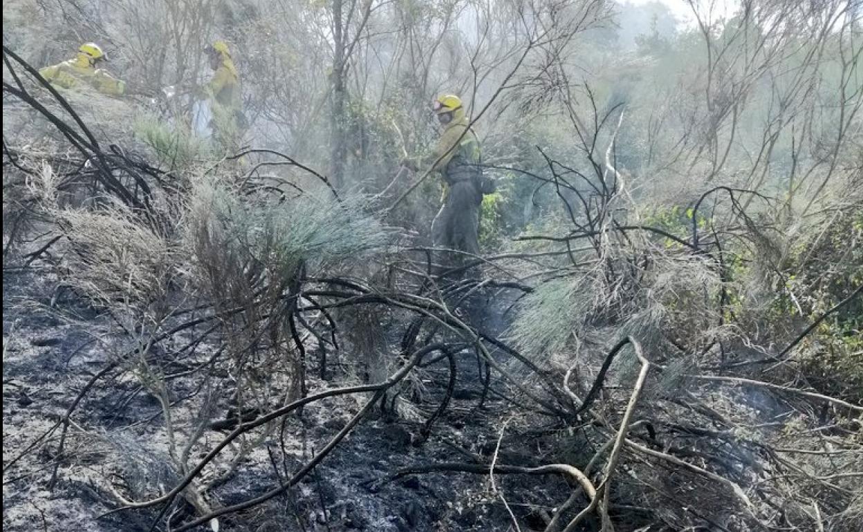 Las brigadas actúan en seis incendios de la provincia y extinguen el fuego de Torre del Bierzo