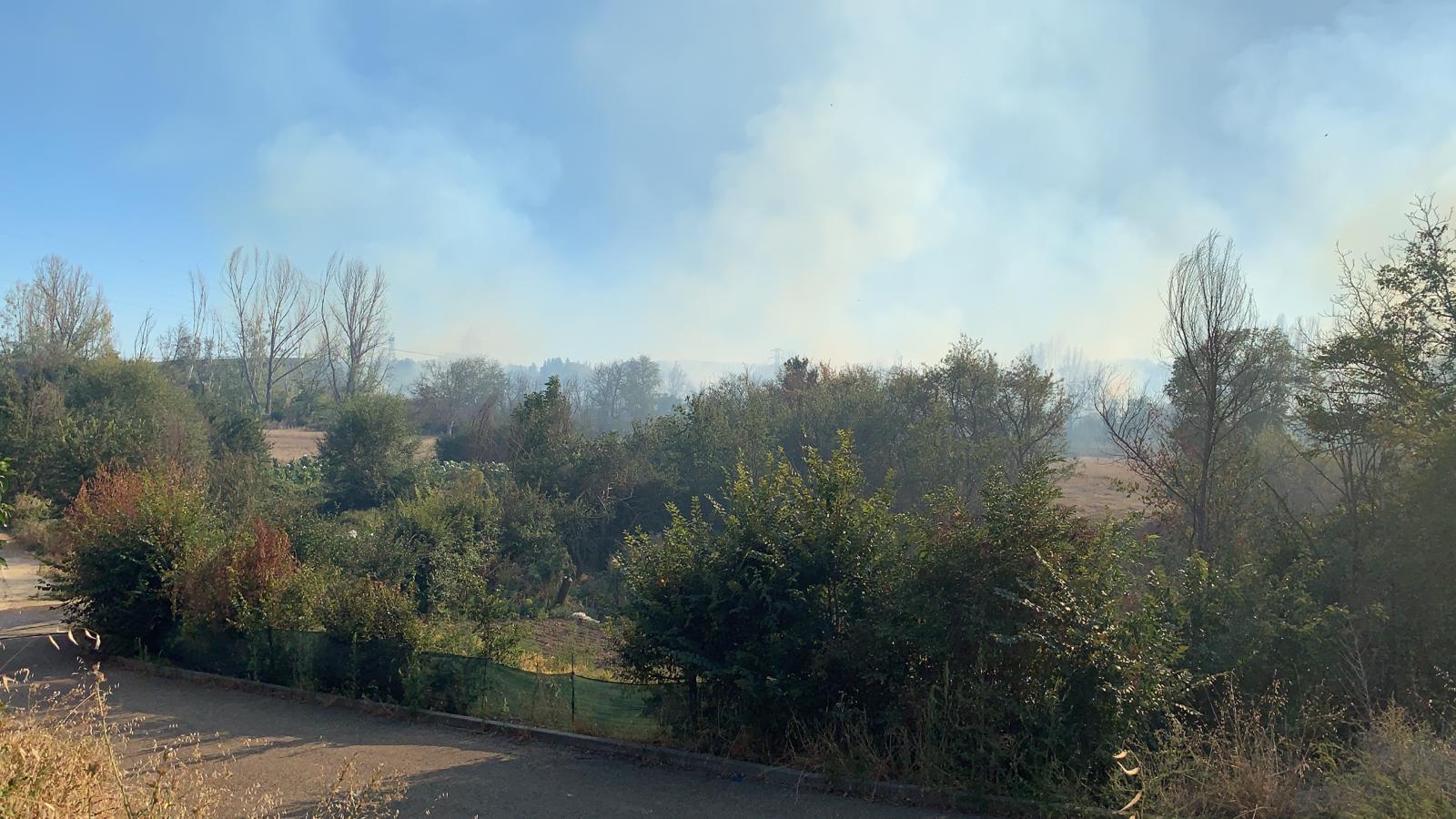 Fotos: Fuego en Santa Olaja