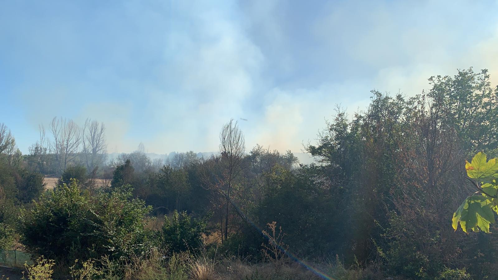 Fotos: Fuego en Santa Olaja