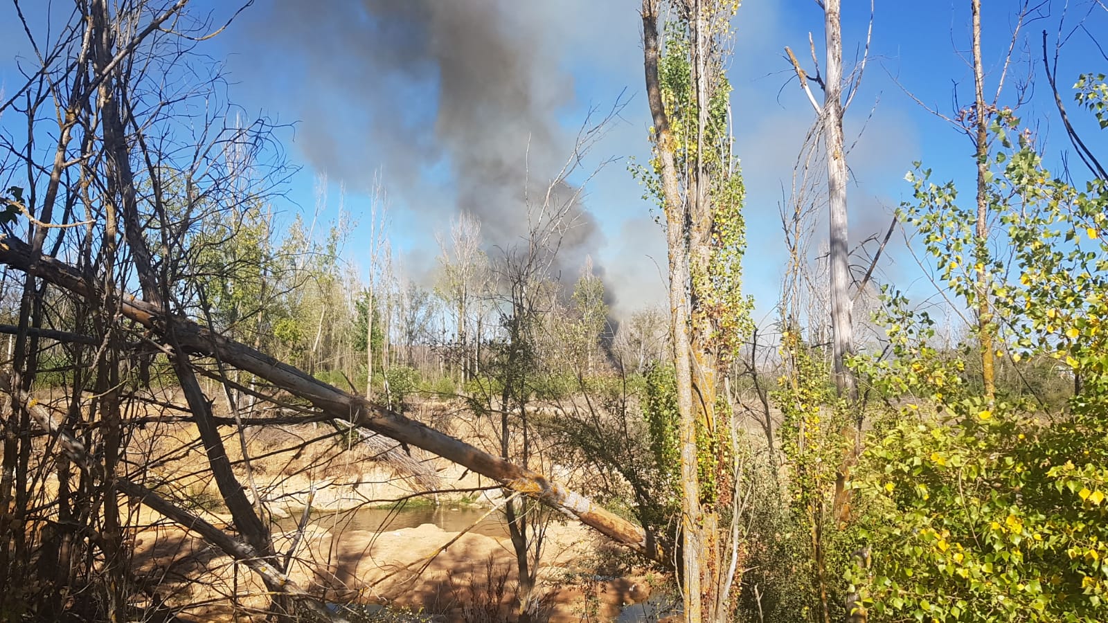 Fotos: Fuego en Santa Olaja