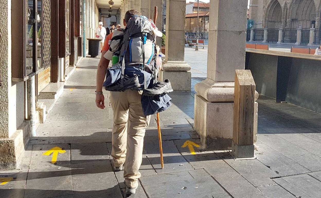 Imagen de la señalización del Camino de Santiago en la Plaza de La Regla.