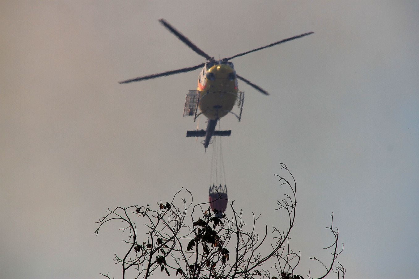 Imagen de los efectivos contraincendios trabajando en la zona.