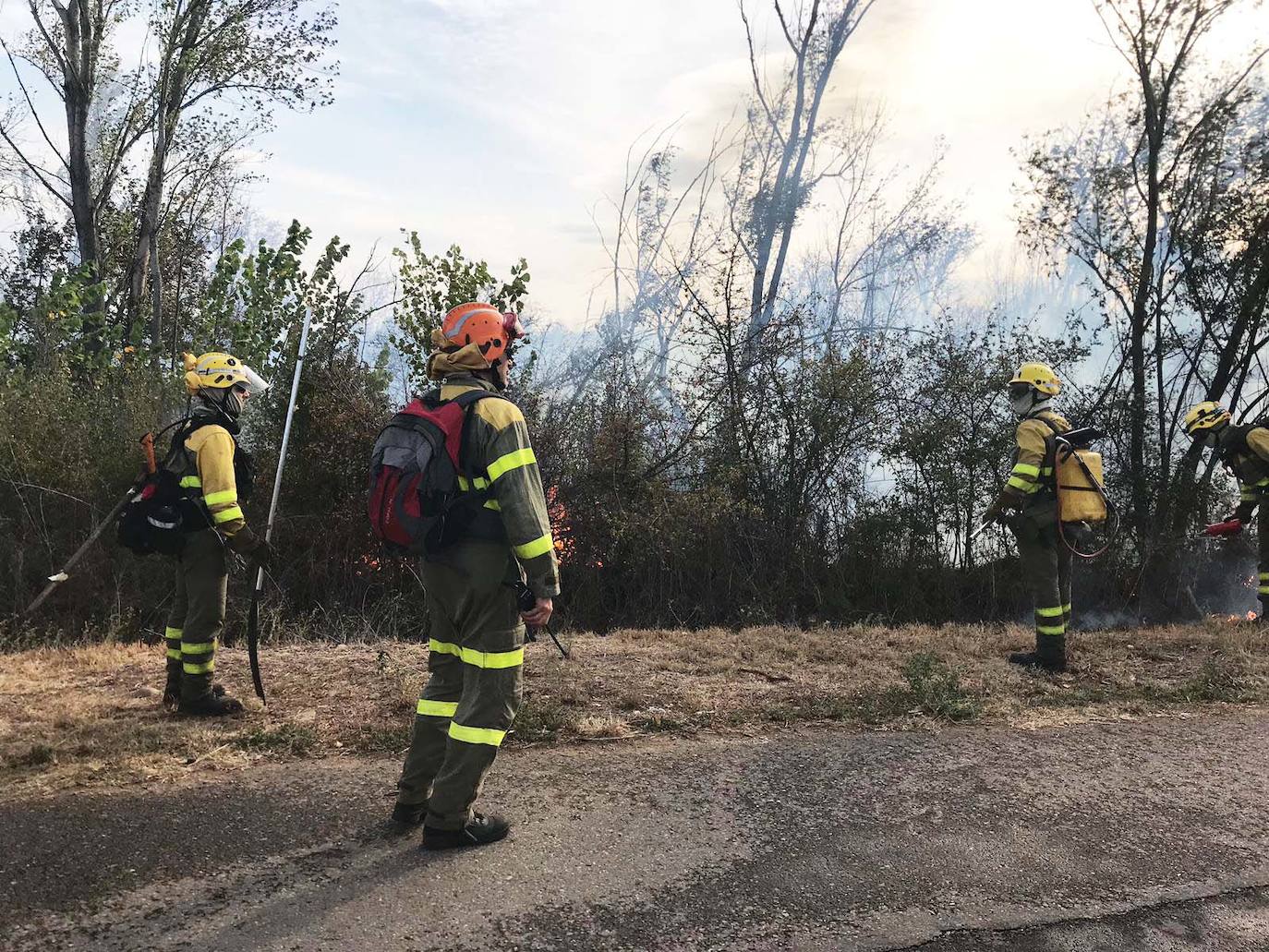 El fuego vuelve a Santa Olaja de la Ribera este viernes.