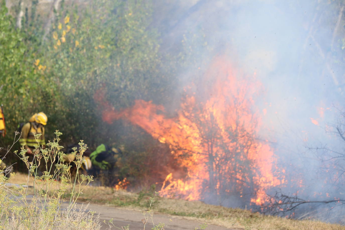 El fuego vuelve a Santa Olaja de la Ribera este viernes.