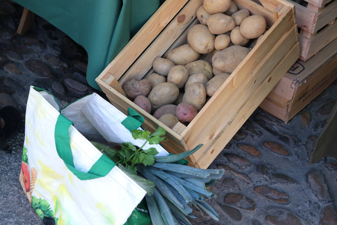 La I Feria Ecomercado 'Ciudad de León' quiere mostrar durante este sábado otra forma de consumir, muy relacionada con el desarrollo del mundo rural y una producción sostenible y artesanal.