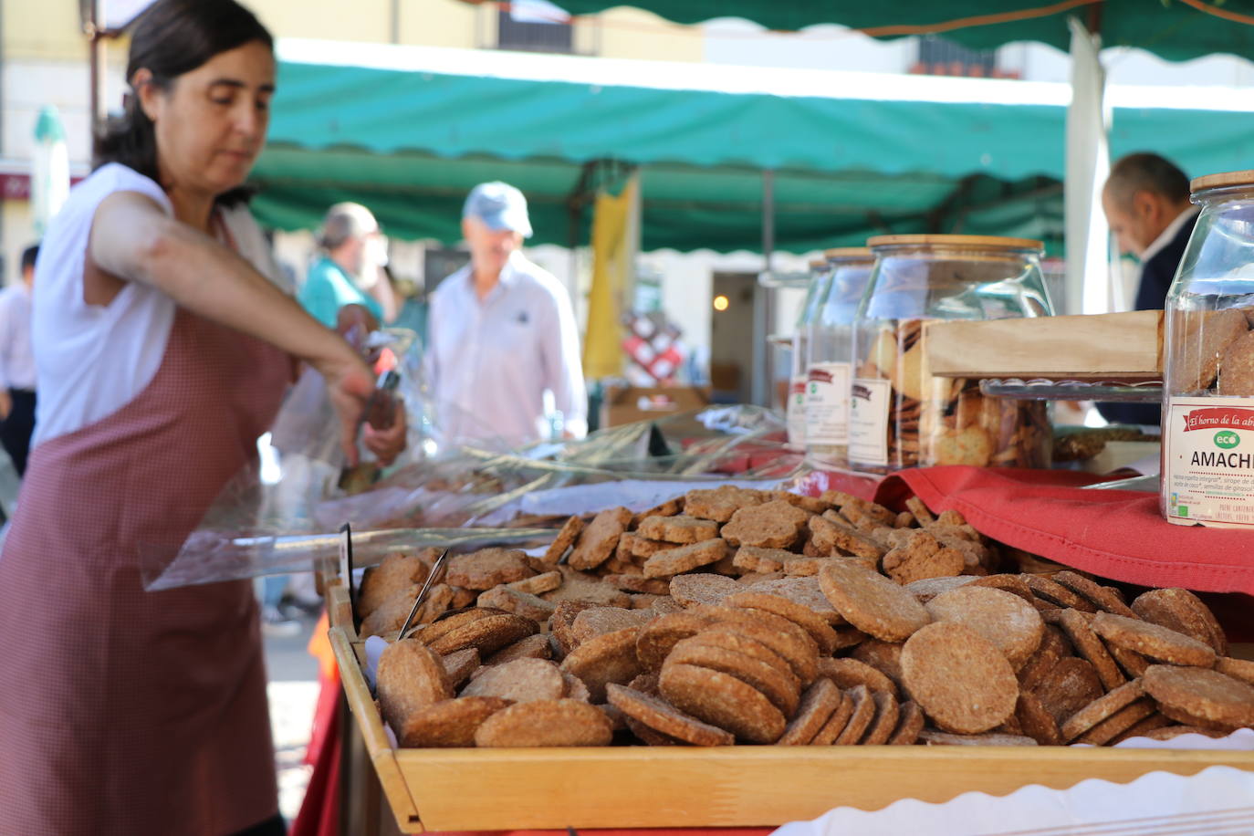 La I Feria Ecomercado 'Ciudad de León' quiere mostrar durante este sábado otra forma de consumir, muy relacionada con el desarrollo del mundo rural y una producción sostenible y artesanal.