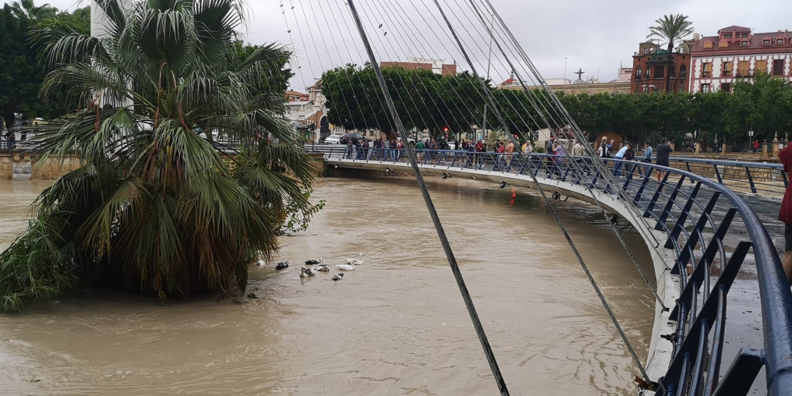 Fotos: Imágenes tomadas por el leonés Álvaro García en Murcia durante el temporal