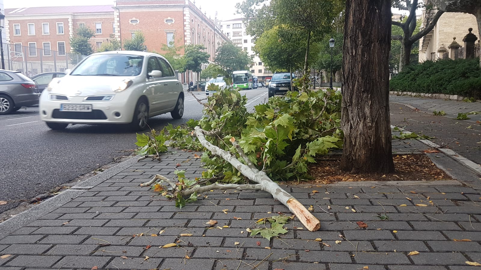 Fotos: Valladolid recupera la normalidad tras la espectacular tromba de agua