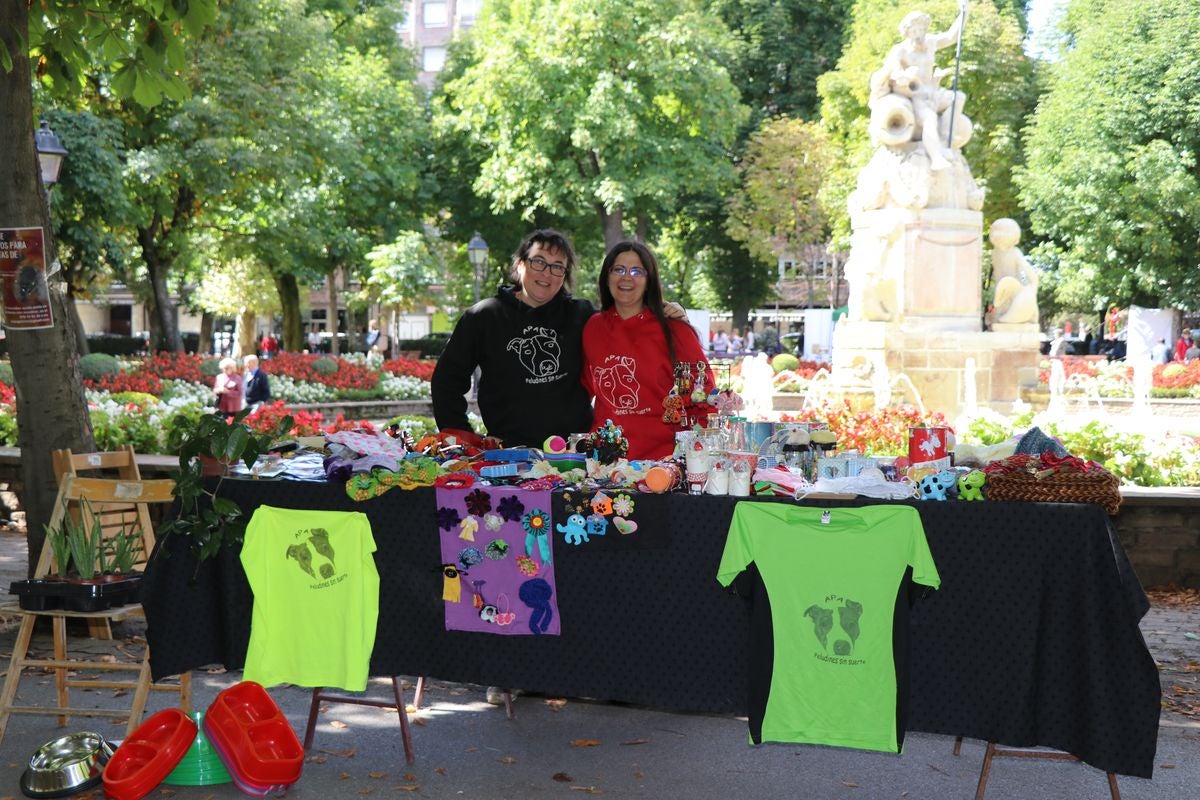 Fotos: La fiesta de los otros vecinos