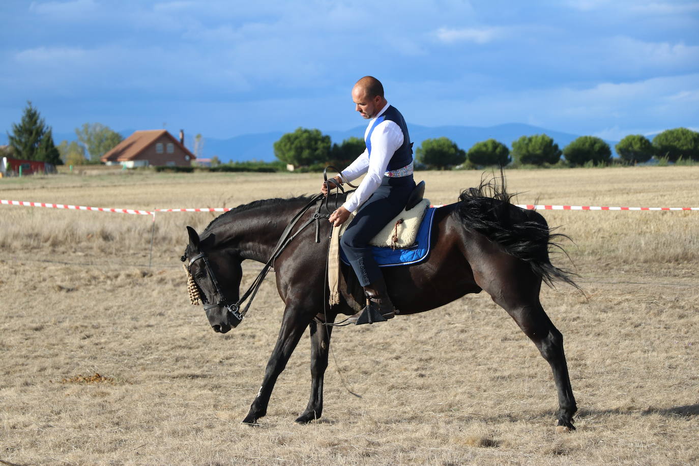 Fotos: Unión y pasión por el caballo