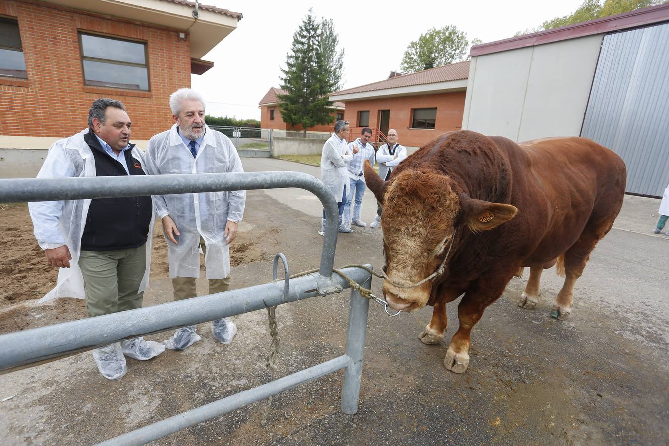 El director general de Producción Agropecuaria, Agustín Álvarez, visita las instalaciones del Centro de Selección y Reproducción Animal (Censyra), en León.