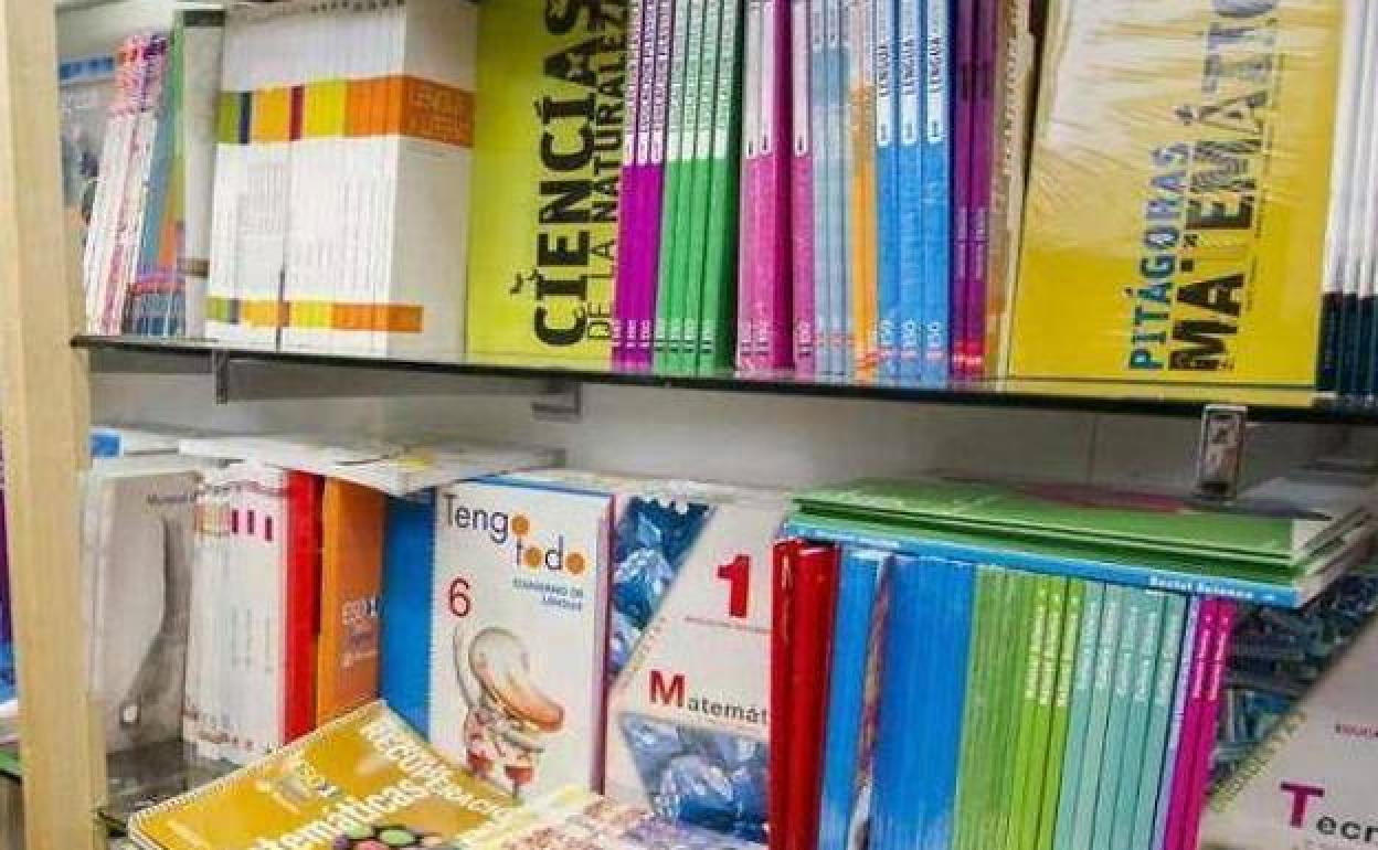 San Andrés empleará el 10% de la partida destinada a la adquisición de fondos bibliográficos a libros adaptados a personas con necesidades especiales