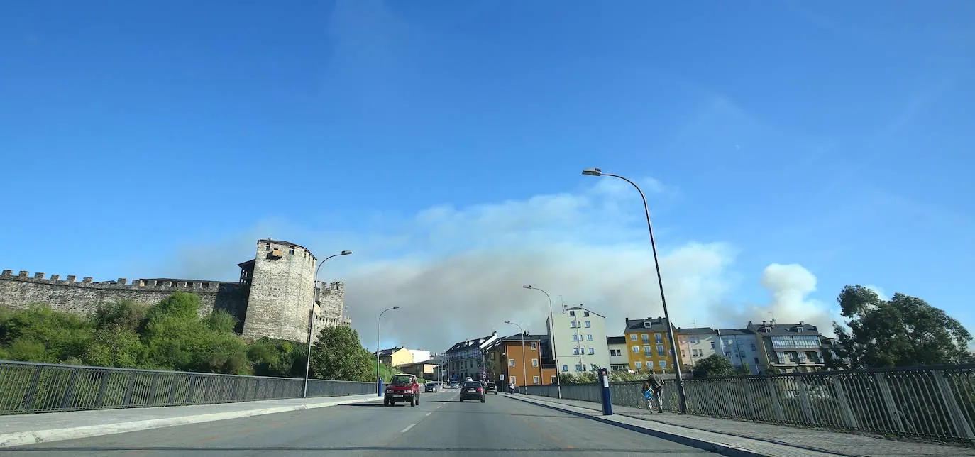 Fotos: Incendio forestal en Valdecañada