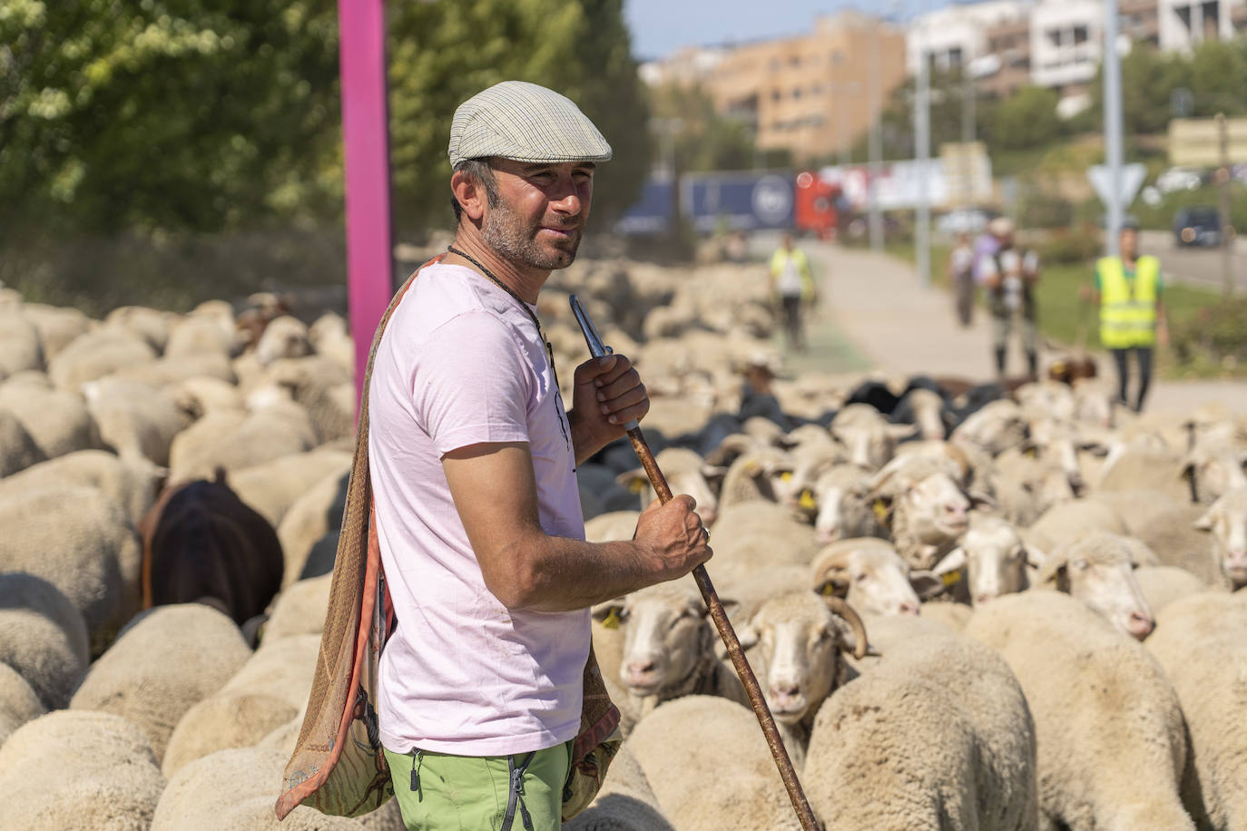 Fotos: Un rebaño de 2.000 ovejas &#039;toma&#039; Valladolid