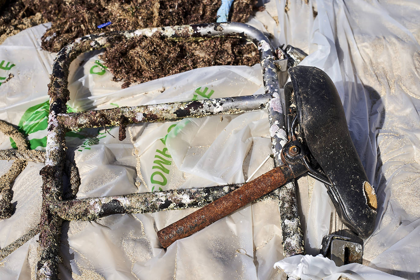 Fotos: 20 buceadores leoneses se suman a la V Gran Limpieza Internacional de Fondos Marinos