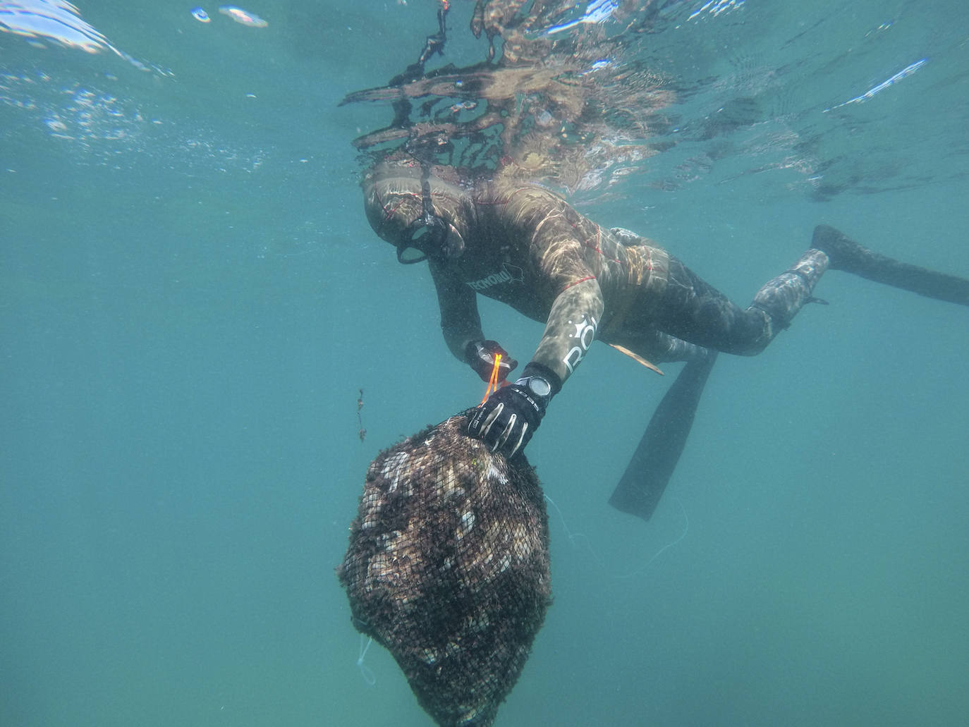 Fotos: 20 buceadores leoneses se suman a la V Gran Limpieza Internacional de Fondos Marinos