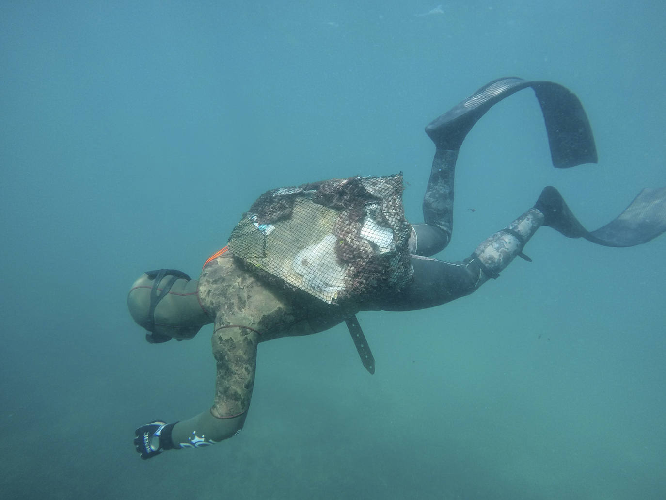 Fotos: 20 buceadores leoneses se suman a la V Gran Limpieza Internacional de Fondos Marinos