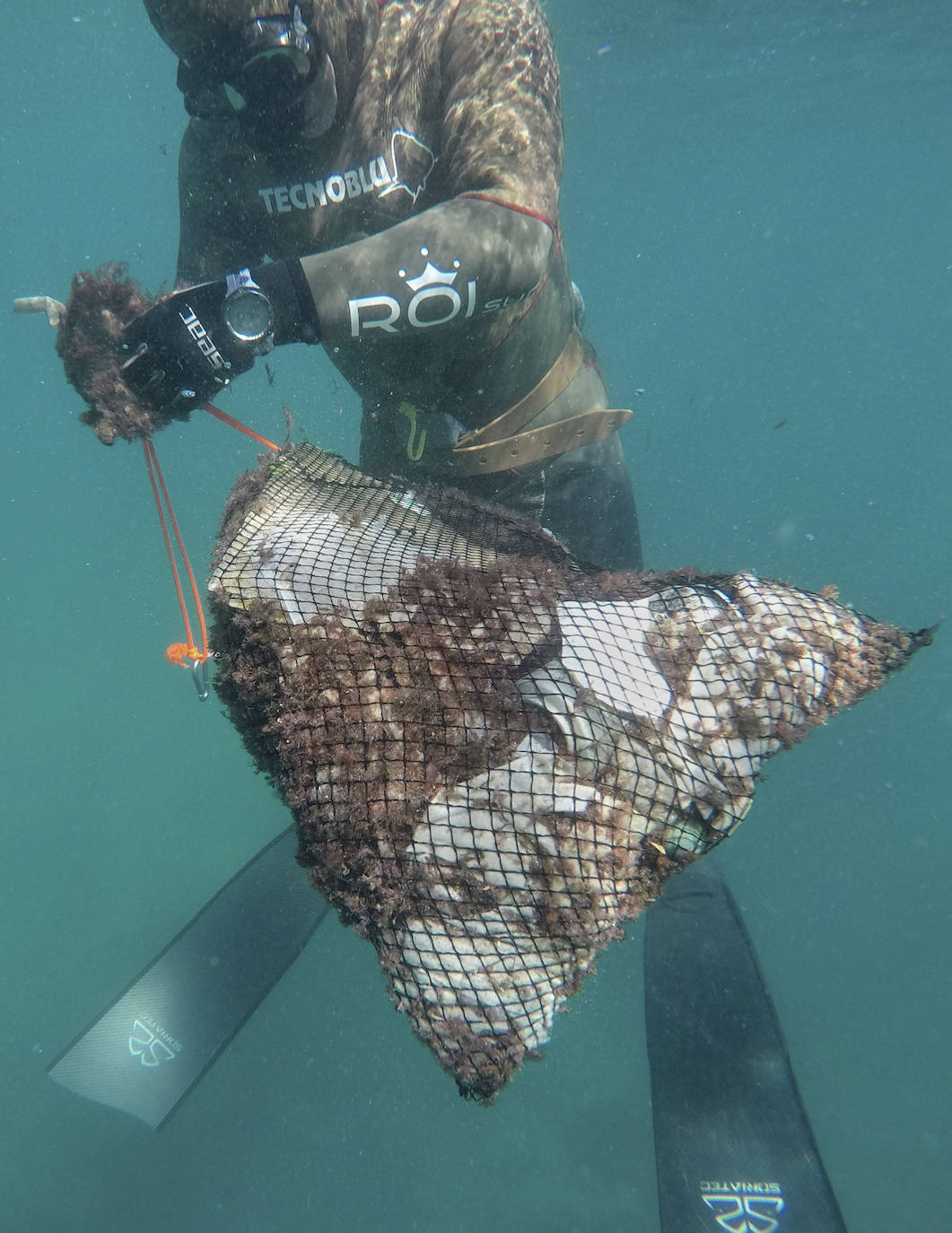 Fotos: 20 buceadores leoneses se suman a la V Gran Limpieza Internacional de Fondos Marinos