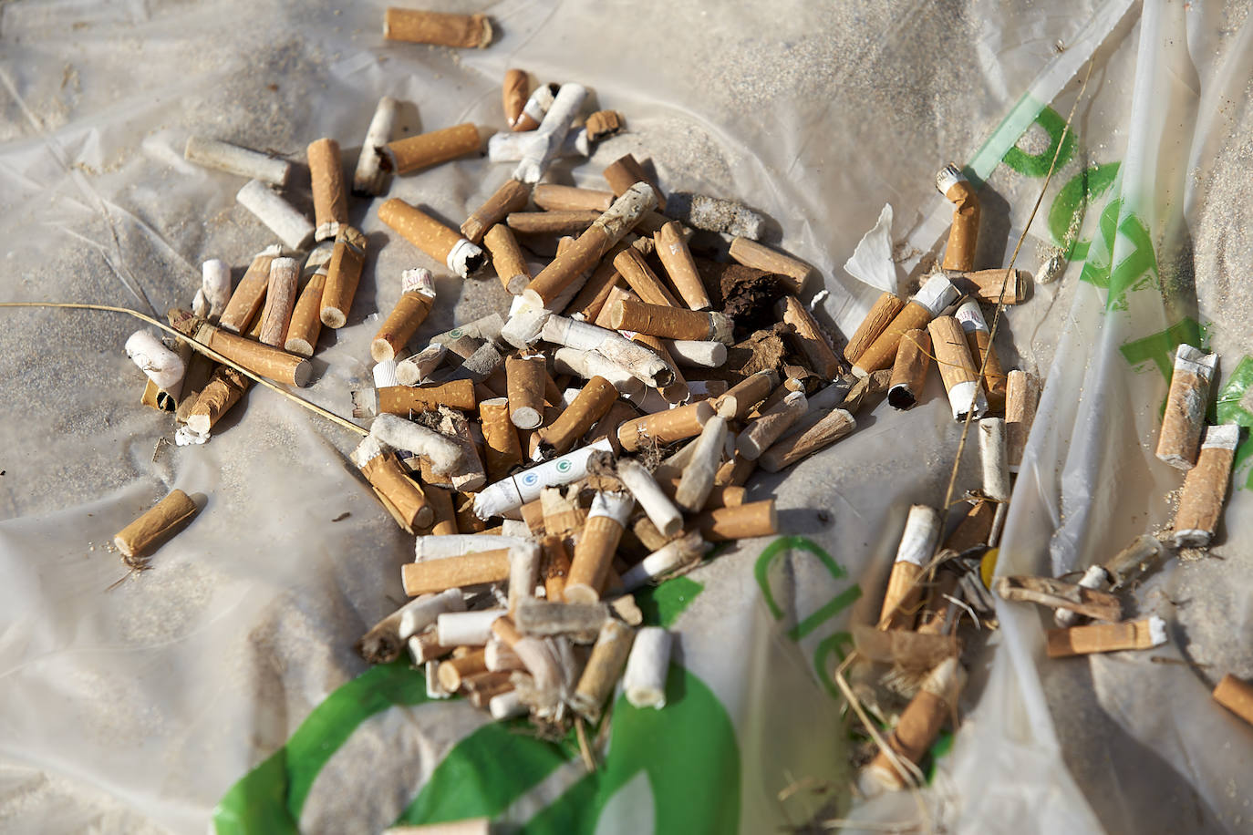 Fotos: 20 buceadores leoneses se suman a la V Gran Limpieza Internacional de Fondos Marinos