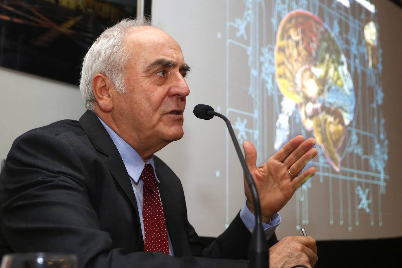 Fotos: Javier de Felipe presenta en León el proyecto &#039;Cajal Blue Brain&#039;
