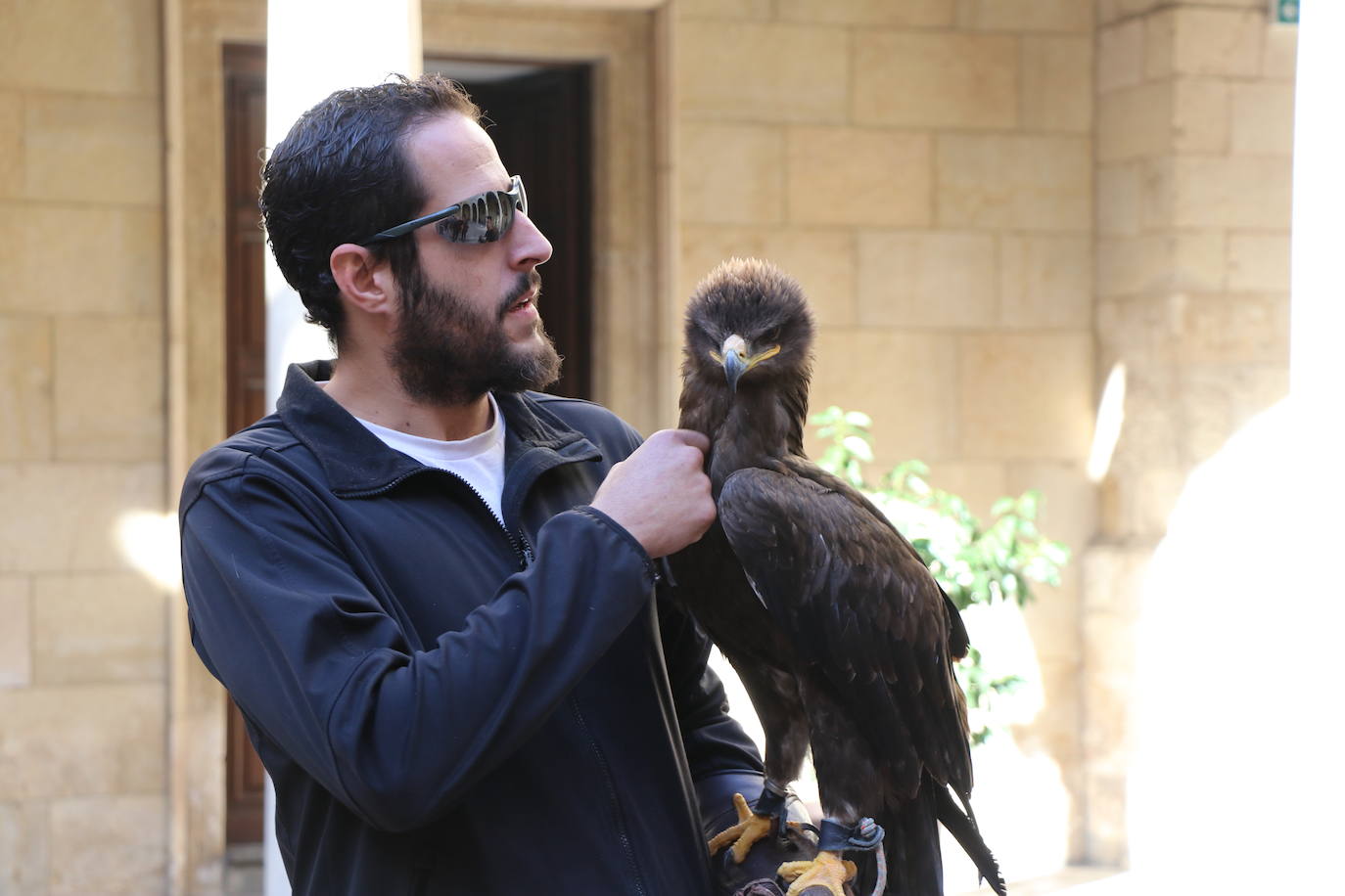 El presidente de la Diputación de León sujeta un ave rapaz.
