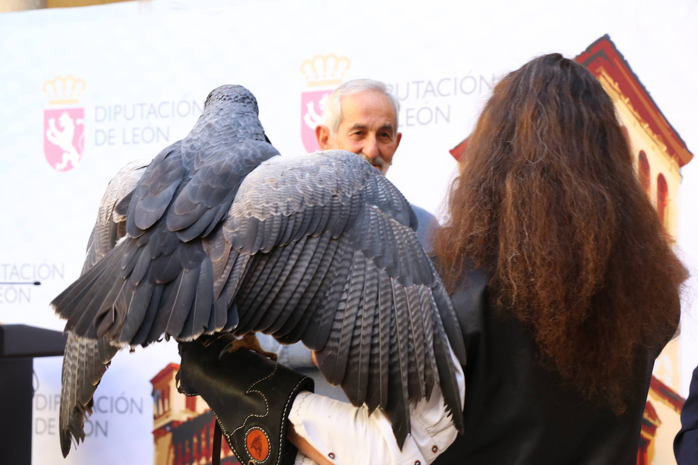 El presidente de la Diputación de León sujeta un ave rapaz.